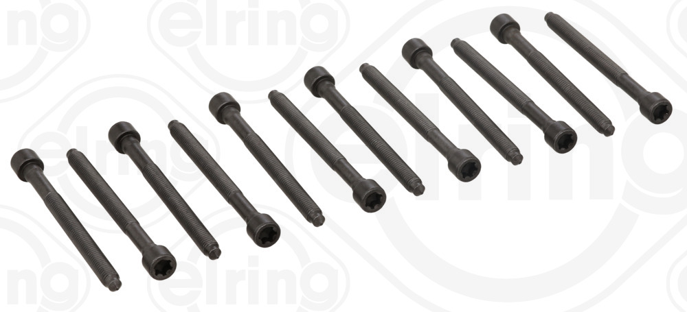 ELRING topbolte-sæt 005610 for CUPRA