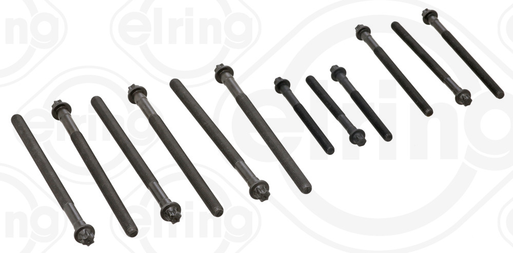 ELRING topbolte-sæt 010230 for BMW