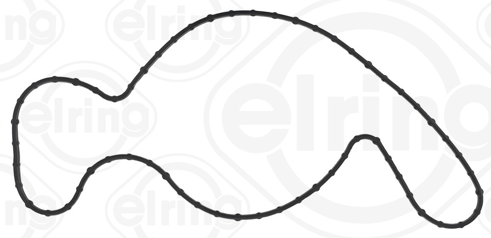 ELRING Pakning, vandpumpe 062100 for FORD USA