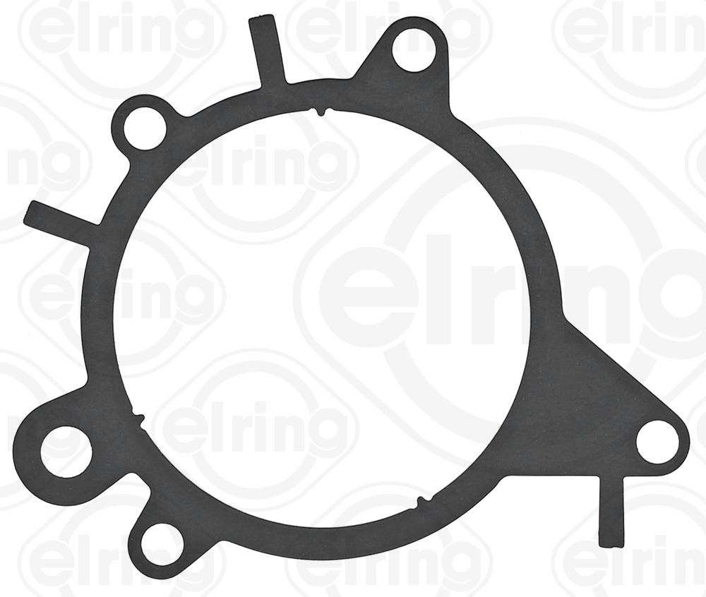 ELRING Pakning, vakuumpumpe 098830 for FORD USA