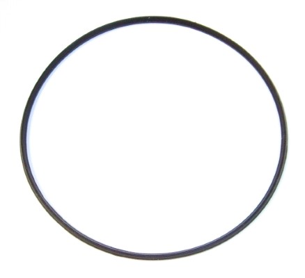 ELRING 698420 oppe for IVECO