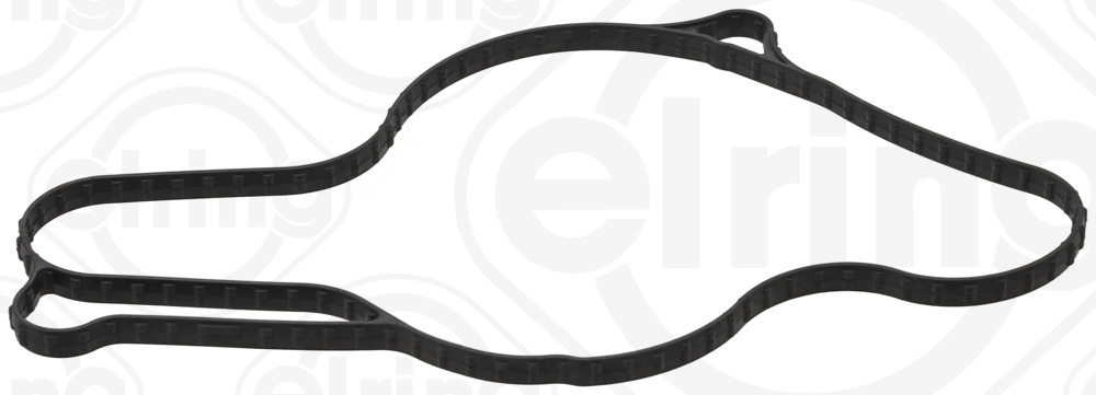 ELRING Pakning, vandpumpe 755650 for FORD USA