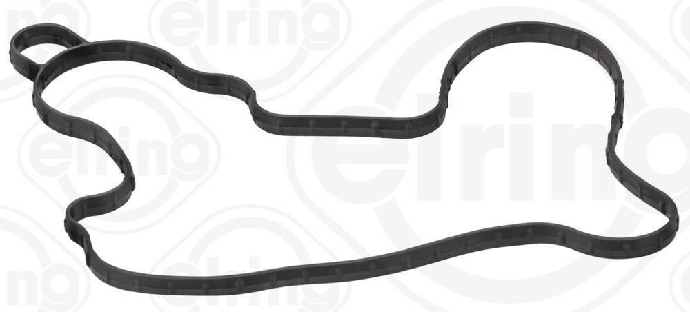ELRING Pakning, vandpumpe 755610 for FORD USA