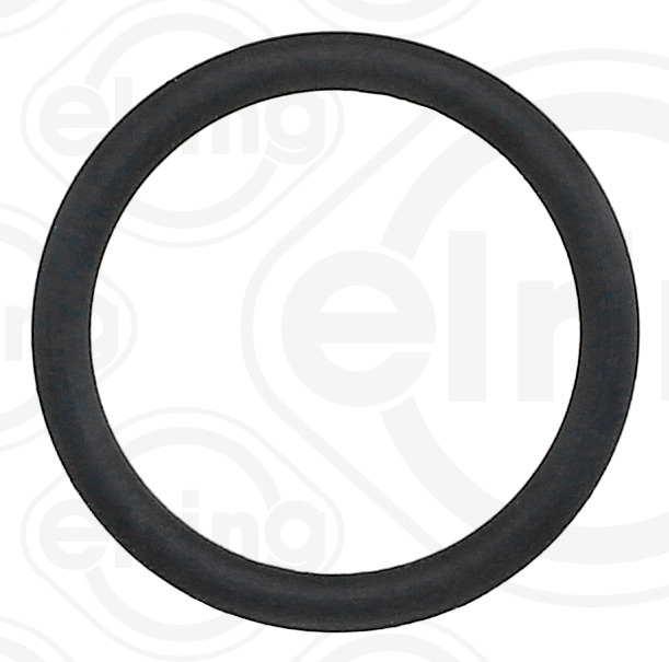 ELRING Pakningsring 192210 for BMW