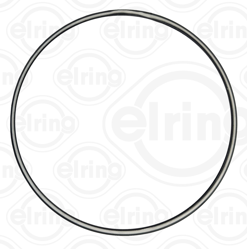 ELRING Pakningsring, turbo-lader 298981 for BMW