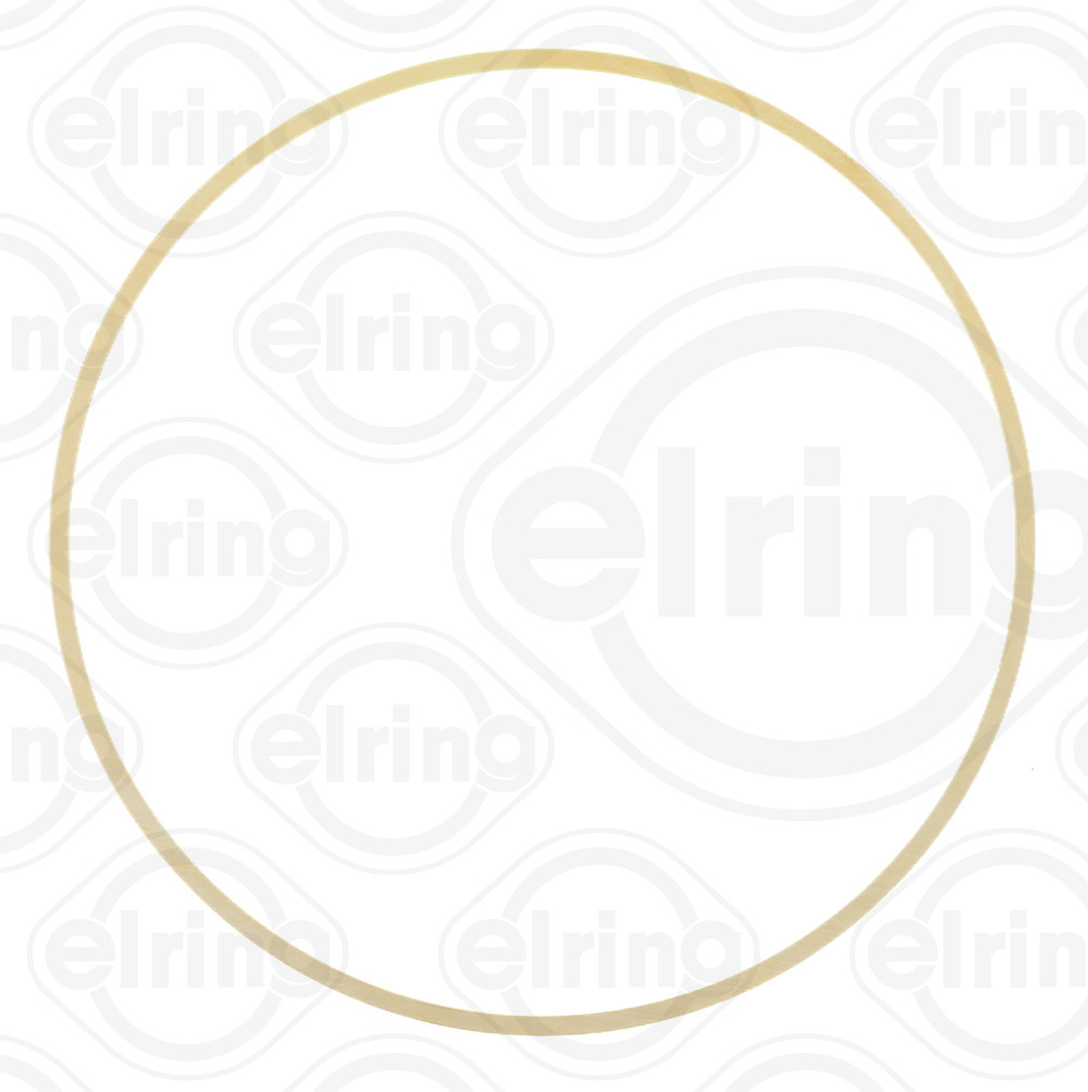 ELRING b28980 for IVECO