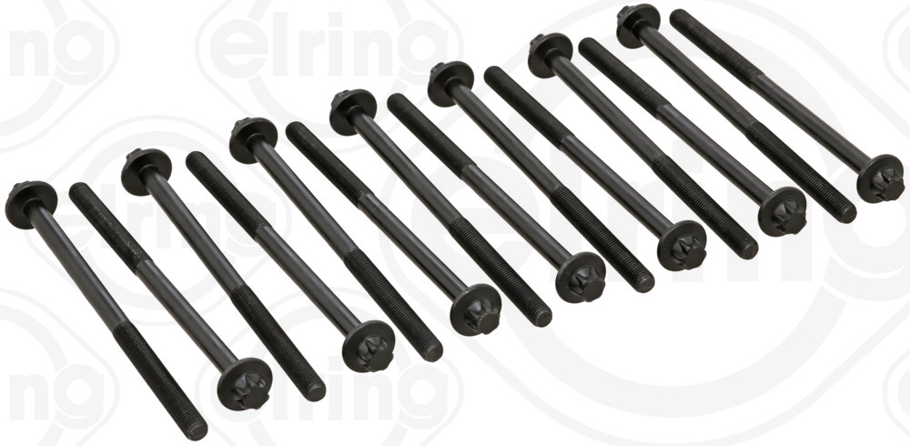 ELRING topbolte-sæt 233.380 for BMW
