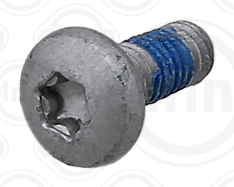 ELRING Skrue 534650 for VAG