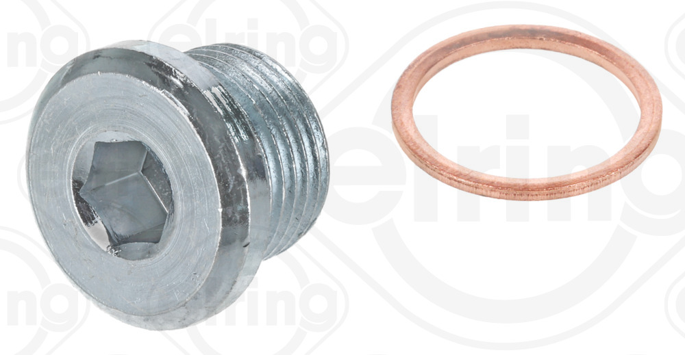 ELRING Skrueprop, bundkar 877870 for BMW