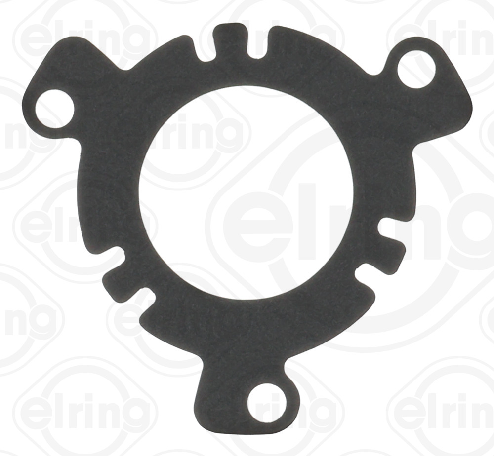 ELRING Pakning, indsprøjtningspumpe 517381 for CITROËN/PEUGEOT FORD VOLVO