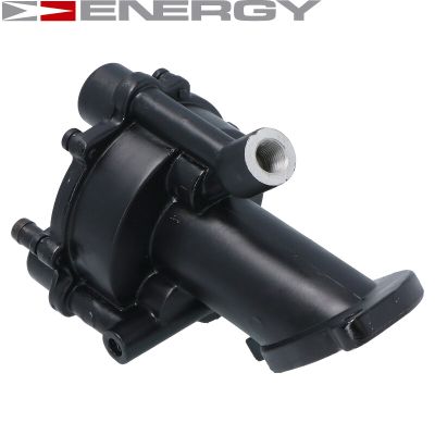ENERGY Vakuumpumpe, bremsesystem pv0010 for FORD