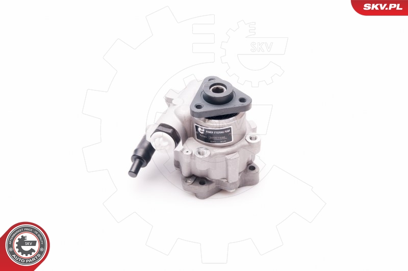 ESEN SKV Hydraulikpumpe, styresystem 10skv220 for AUDI CUPRA VW