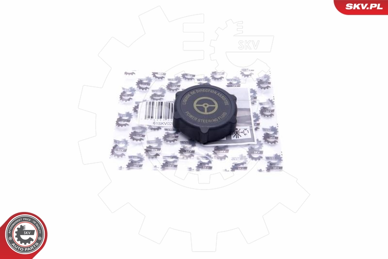 ESEN SKV Pakring, blindprop-servopumpe 61skv029 for FORD