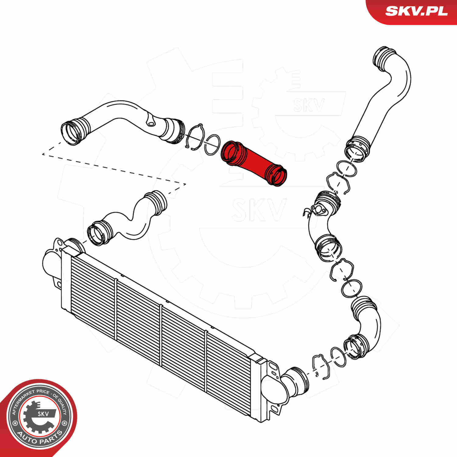 ESEN SKV Ladeluftslange 24skv003 højre for VW