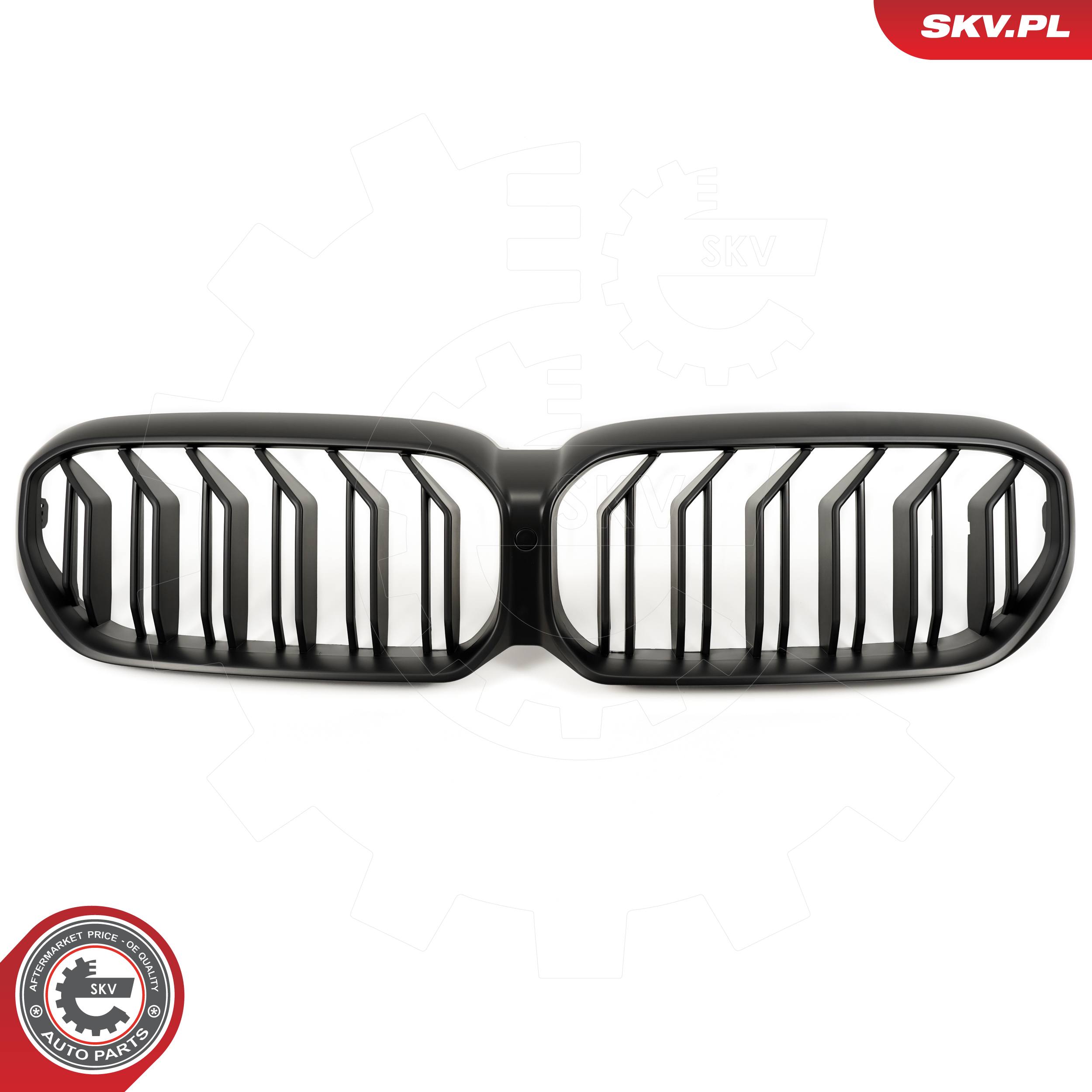 ESEN SKV Kølergitter 66skv204 midten for BMW