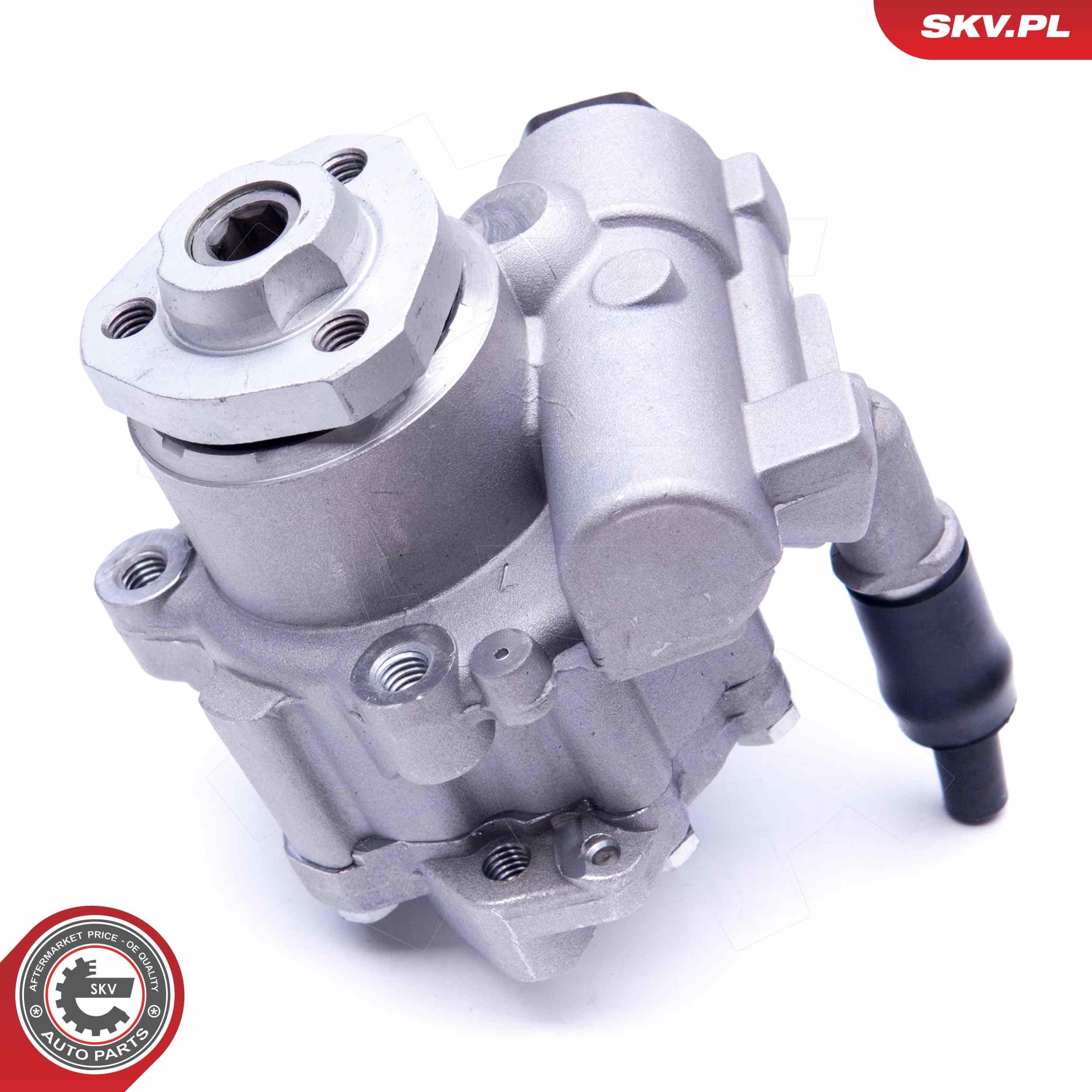 ESEN SKV Hydraulikpumpe, styresystem 10skv256 for FORD SKODA VW SEAT
