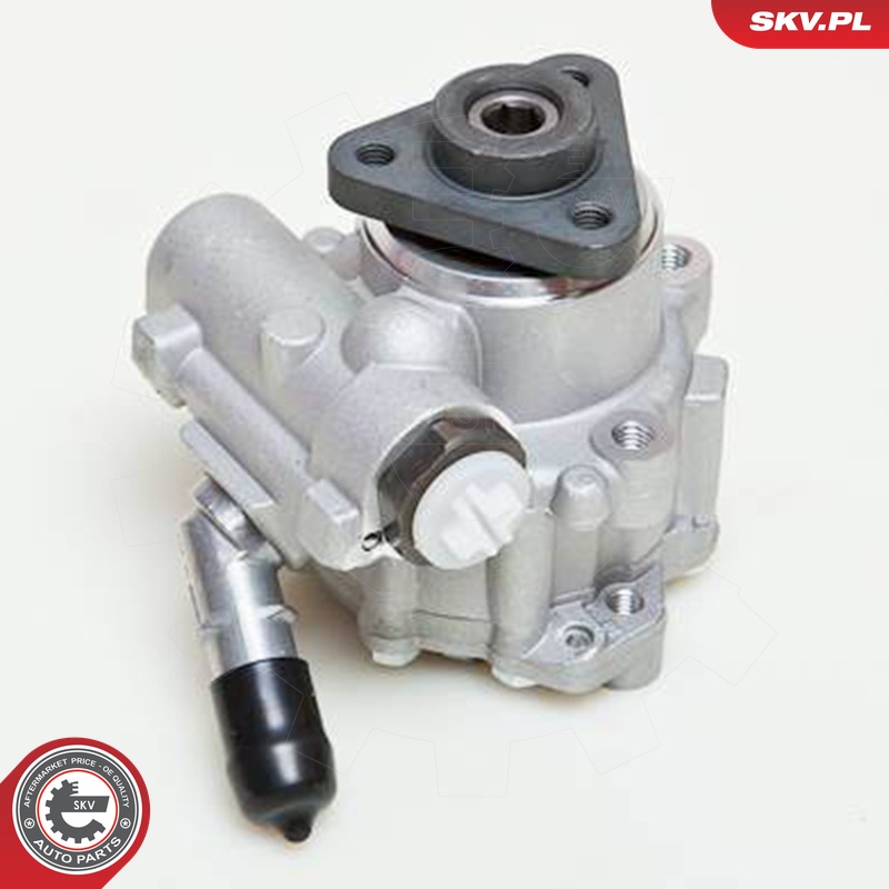 ESEN SKV Hydraulikpumpe, styresystem 10skv048 for VW