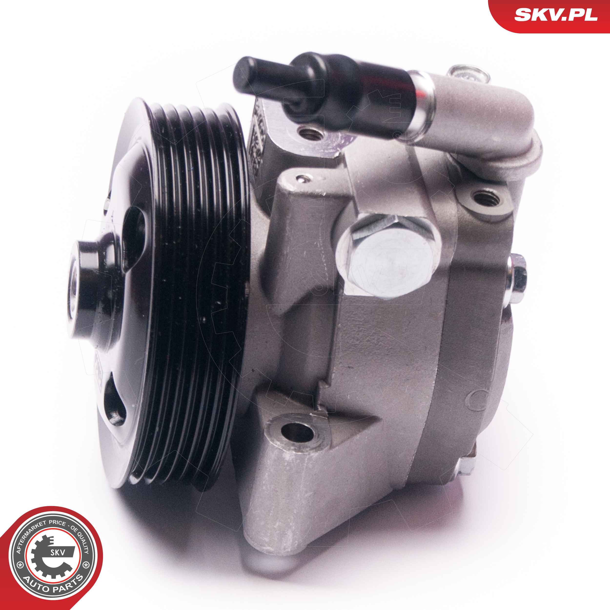 ESEN SKV Hydraulikpumpe, styresystem 10skv215 for FORD