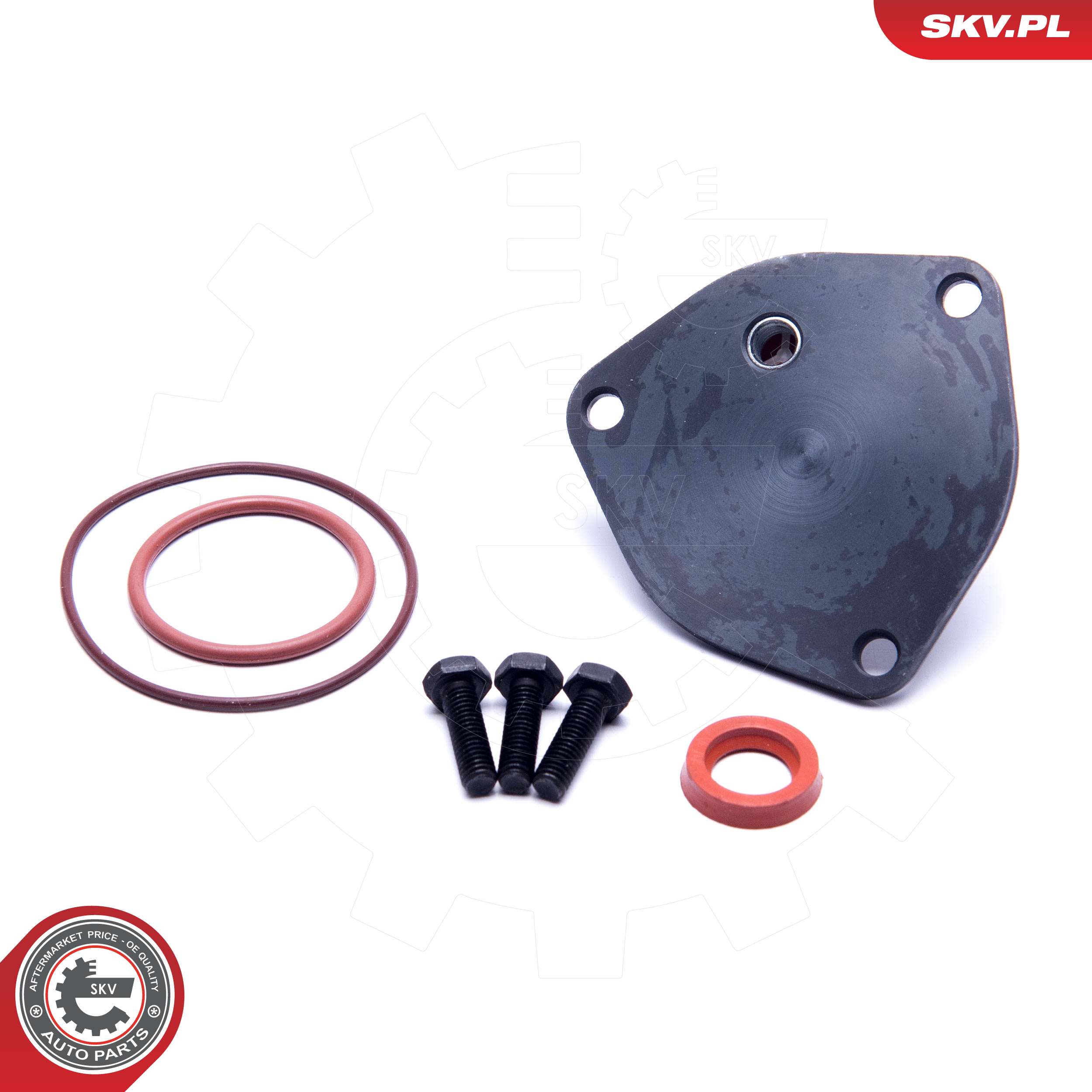 ESEN SKV Reperationssæt, vacuumpumpe (bremsesystem) 18skv800 for VAG SKODA