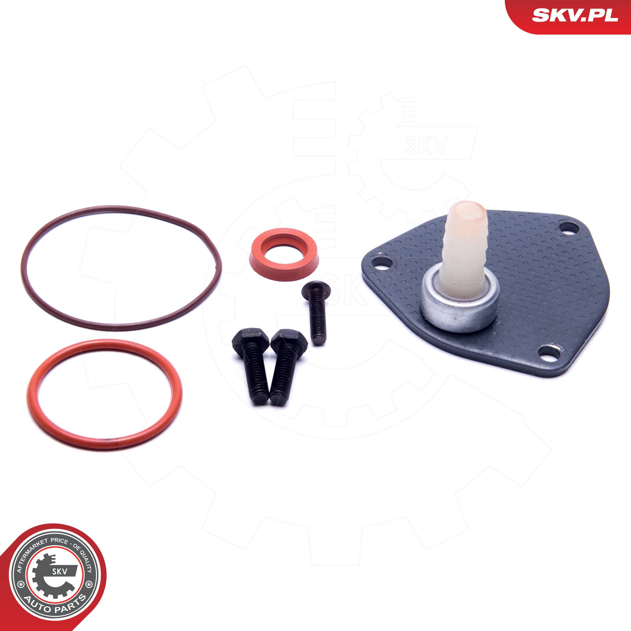 ESEN SKV Reperationssæt, vacuumpumpe (bremsesystem) 18skv806 for FORD VAG
