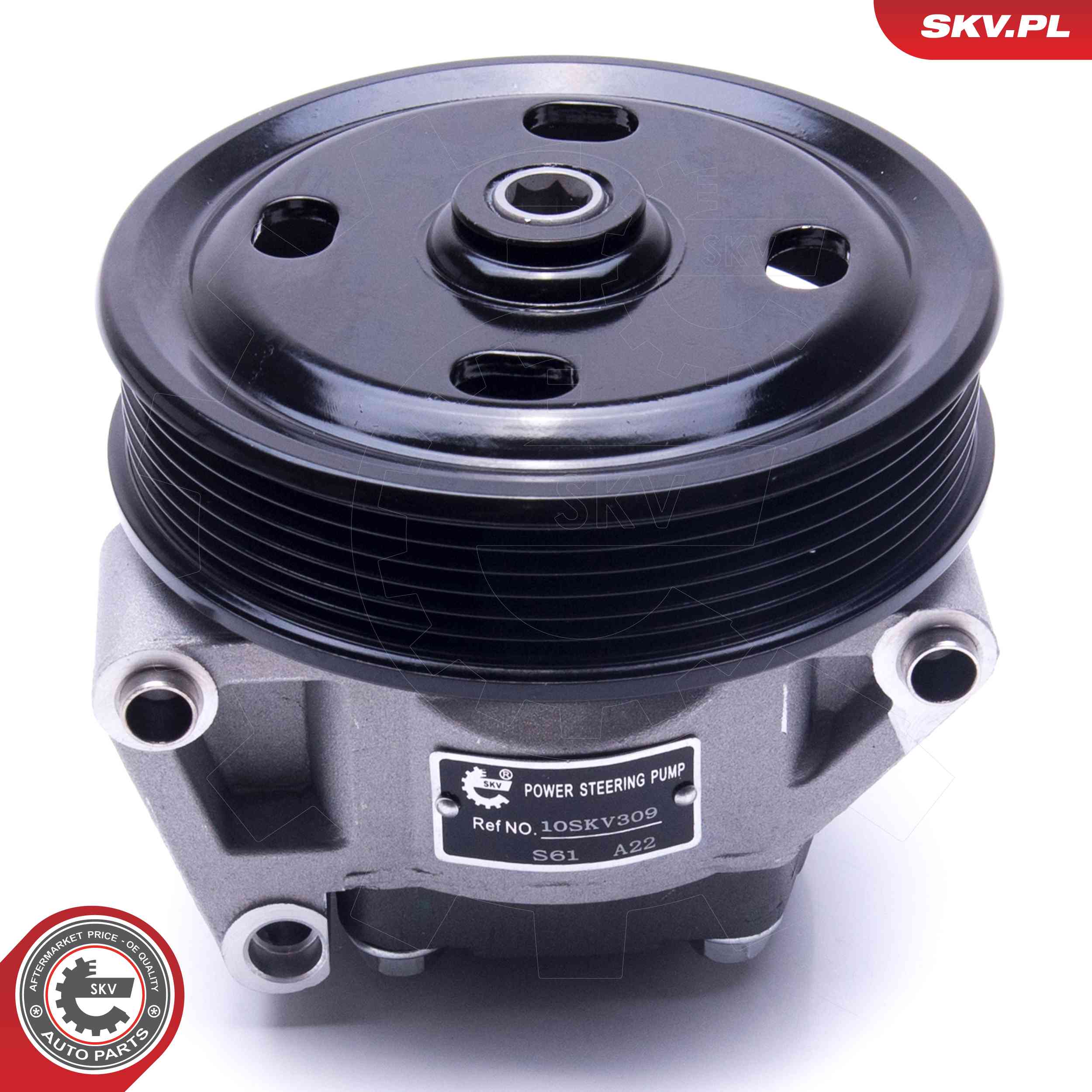 ESEN SKV Hydraulikpumpe, styresystem 10skv309 for FORD