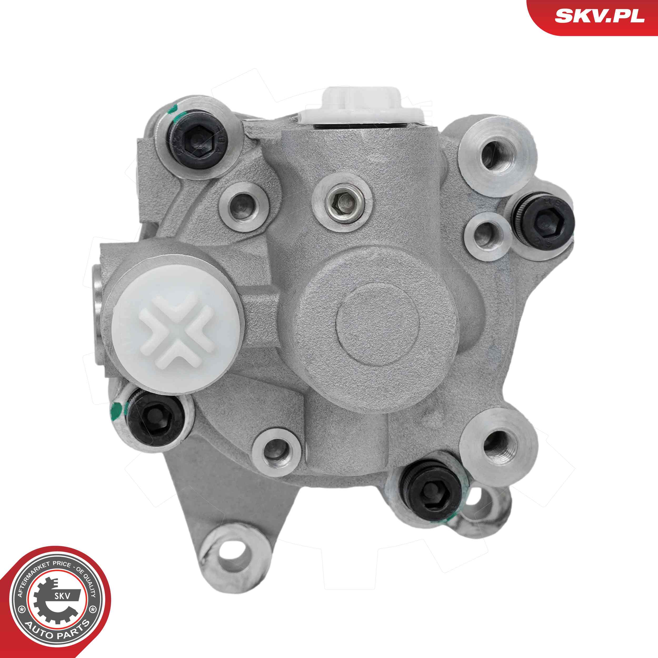 ESEN SKV Hydraulikpumpe, styresystem 10skv355 for BMW