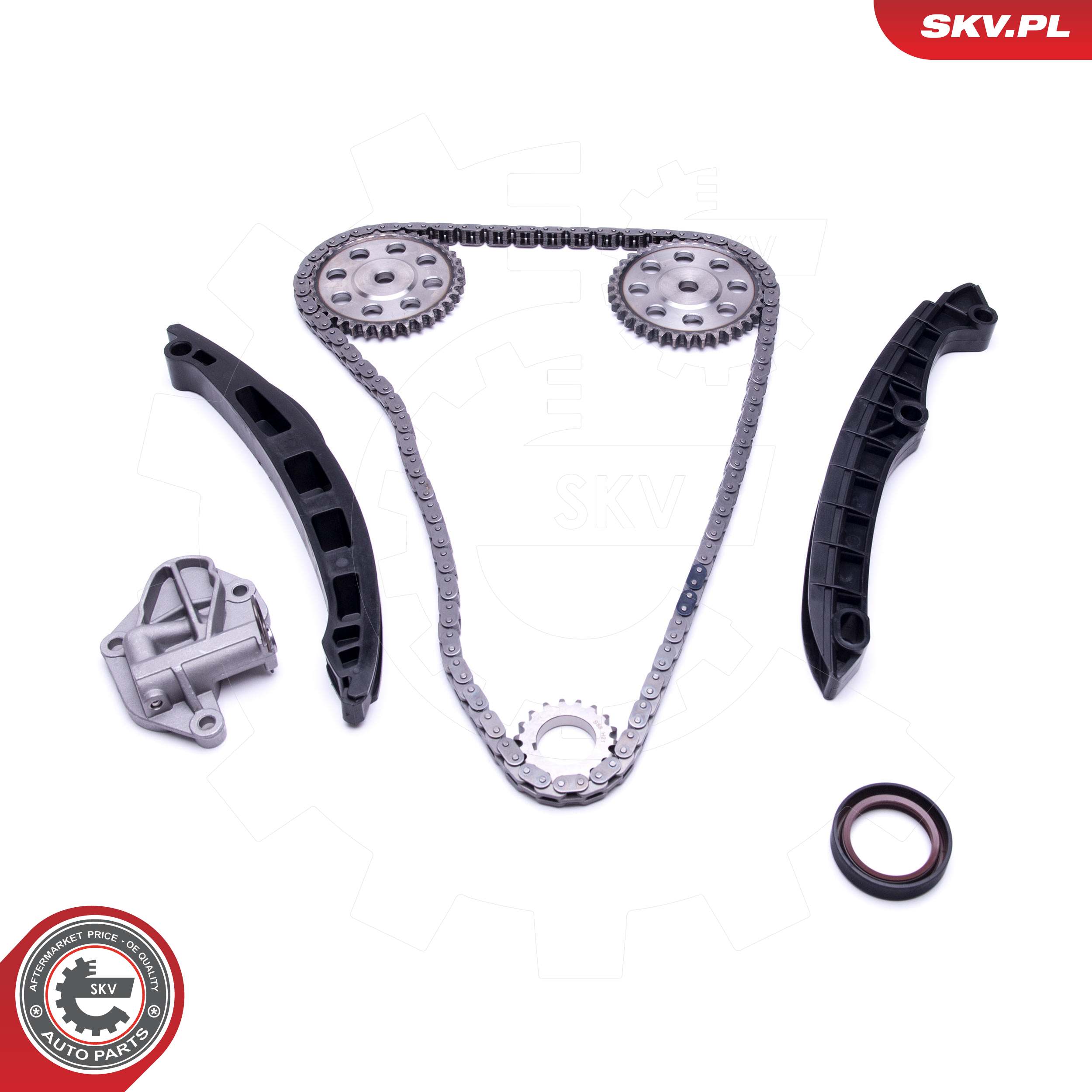 ESEN SKV Styrekædesæt 21skv147 for FORD CHRYSLER MITSUBISHI PORSCHE VAG SEAT