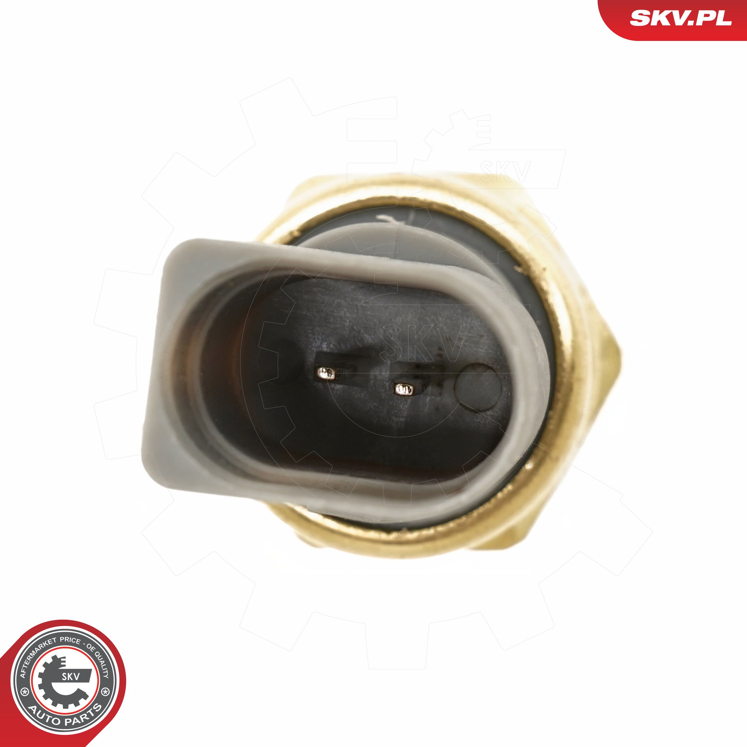 ESEN SKV Olietrykskontakt 17skv974 for CUPRA