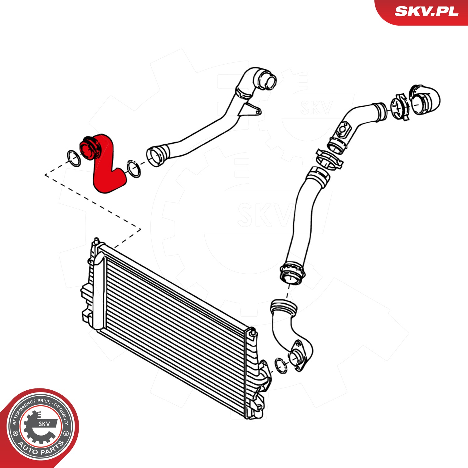 ESEN SKV Ladeluftslange 24skv101 for FORD VAG