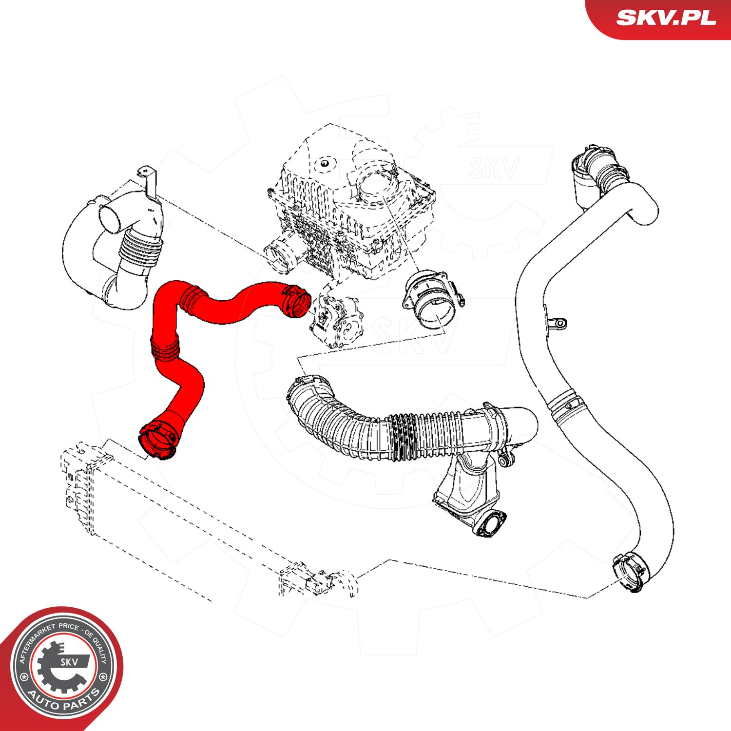 ESEN SKV Ladeluftslange 24skv809 for RENAULT