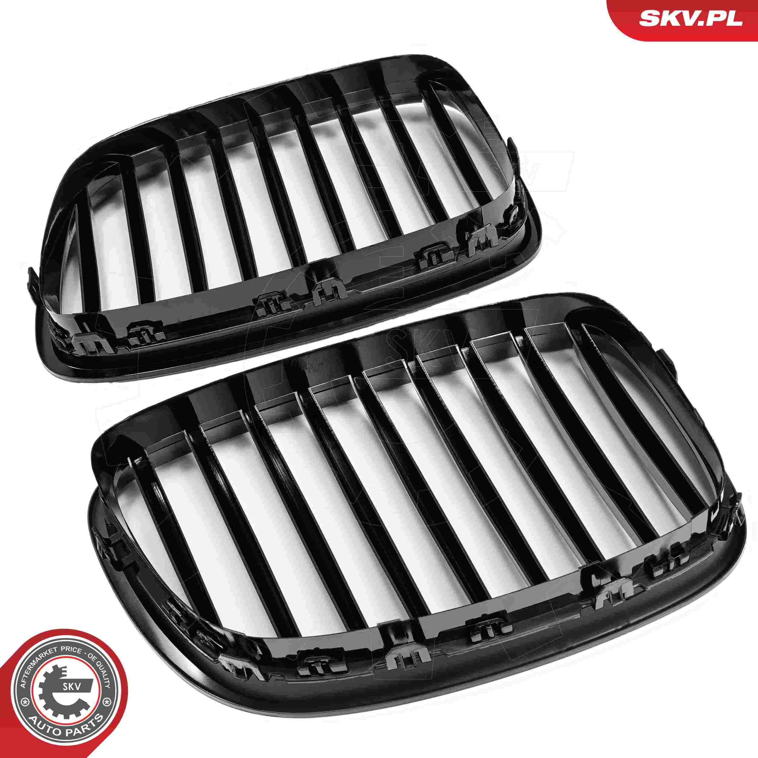 ESEN SKV Kølergitter 66skv176 for BMW