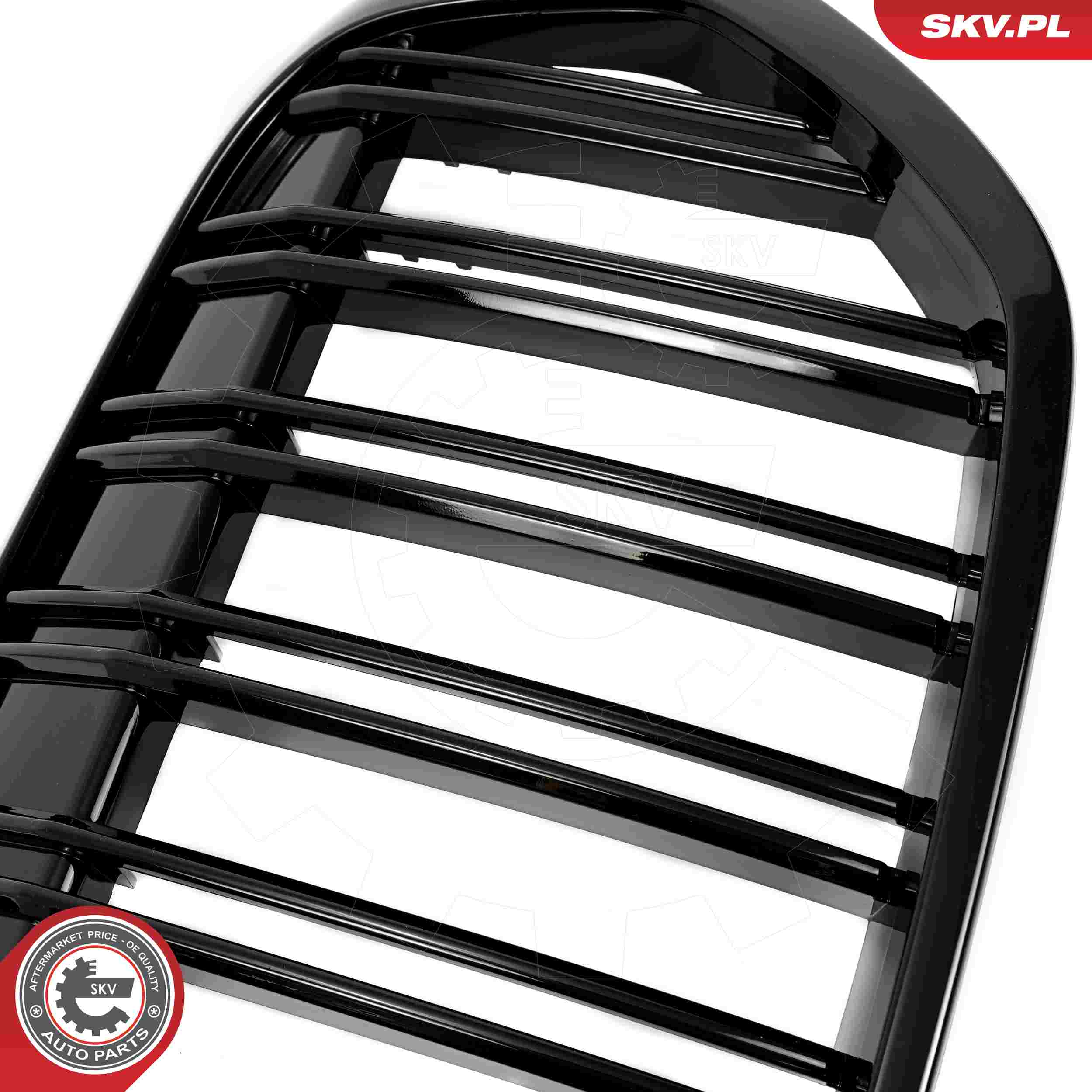 ESEN SKV Kølergitter 66skv243 midten for BMW