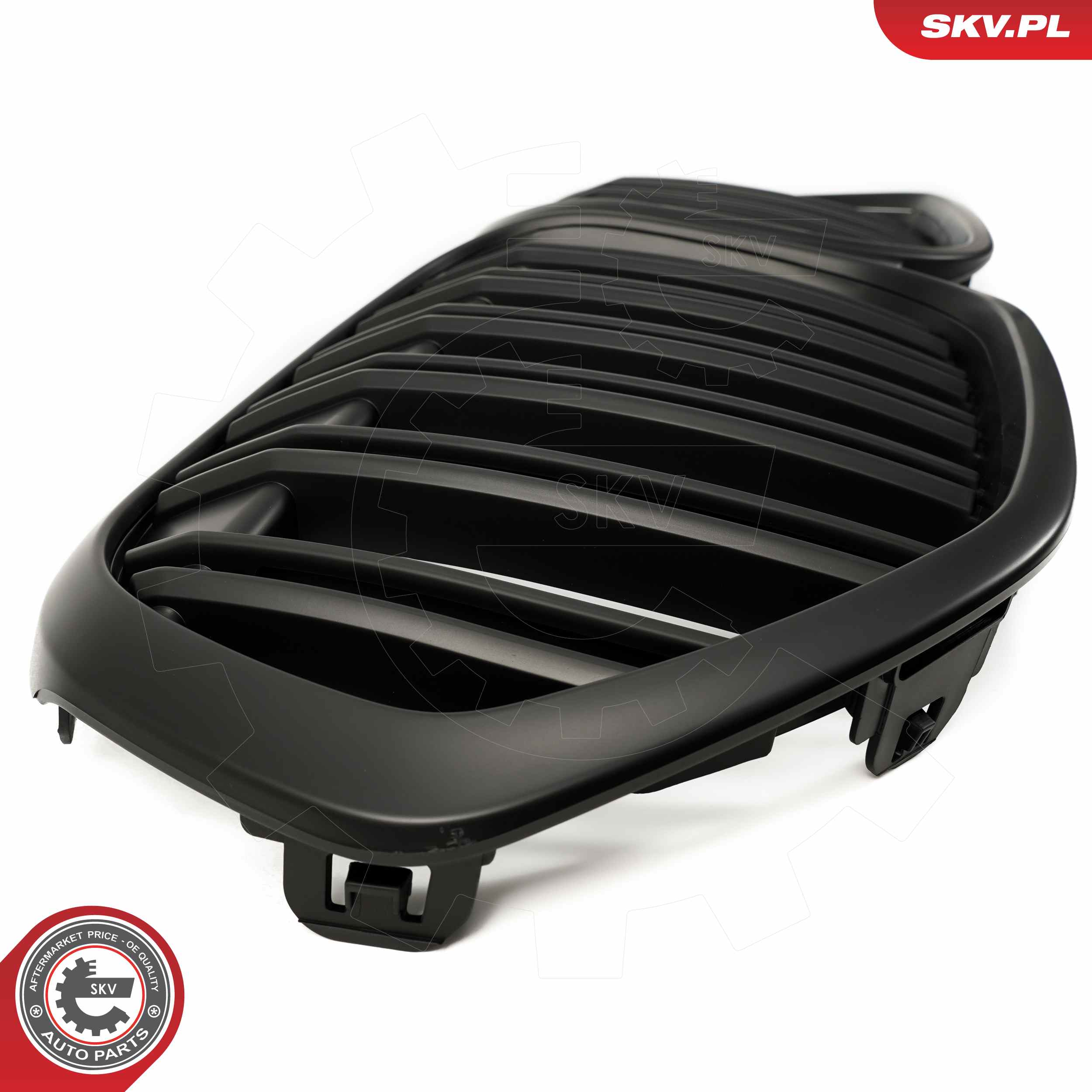 ESEN SKV Kølergitter 66skv244 midten for BMW