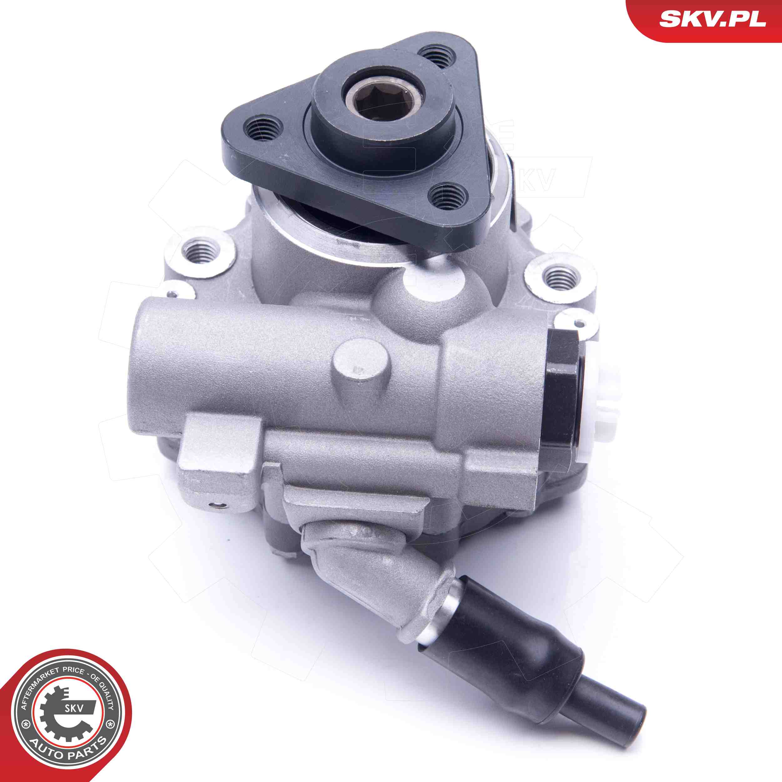 ESEN SKV Hydraulikpumpe, styresystem 10skv243 for AUDI