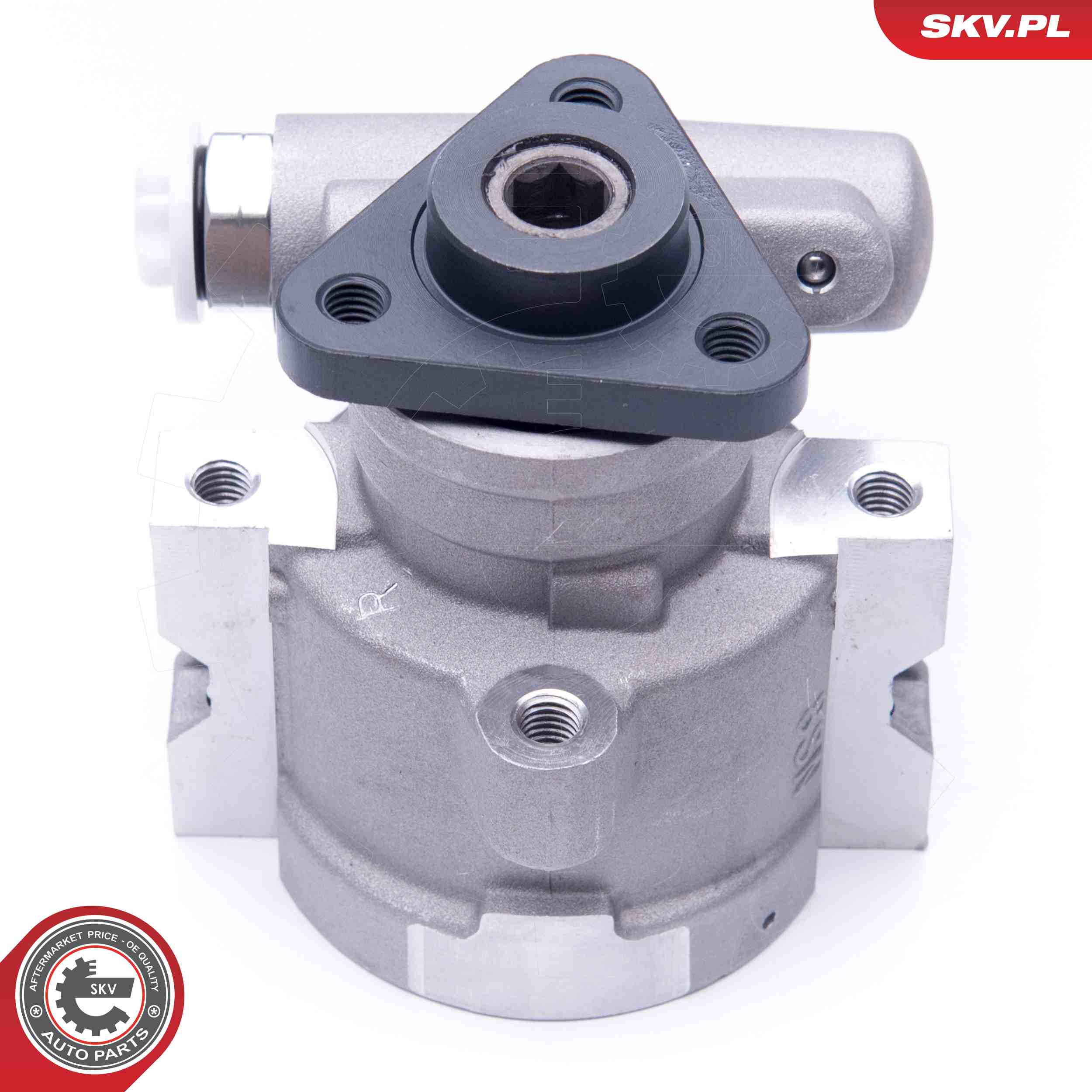 ESEN SKV Hydraulikpumpe, styresystem 10skv258 for FORD