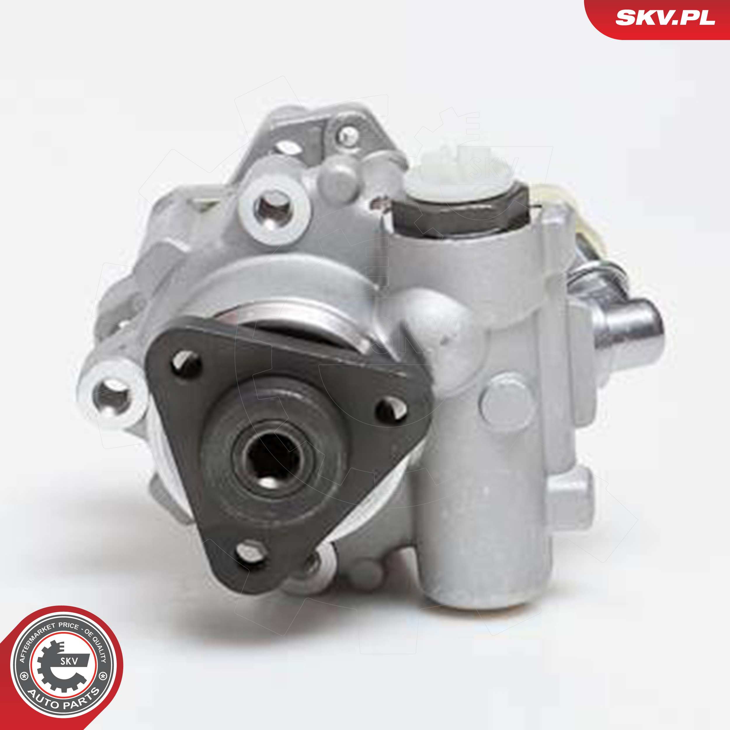 ESEN SKV Hydraulikpumpe, styresystem 10skv014 for BMW