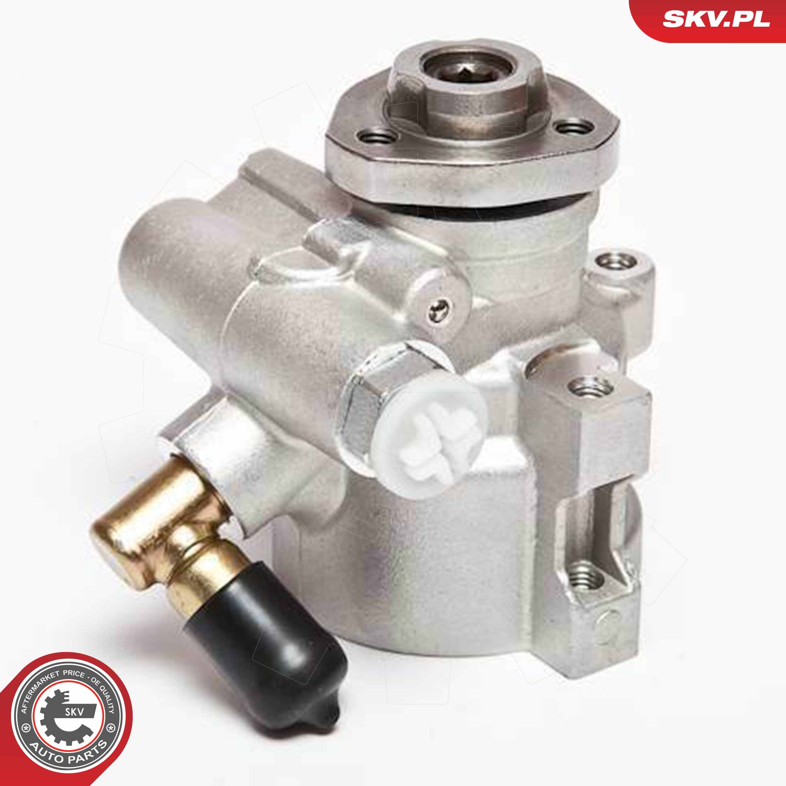 ESEN SKV Hydraulikpumpe, styresystem 10skv047 for VAG VW