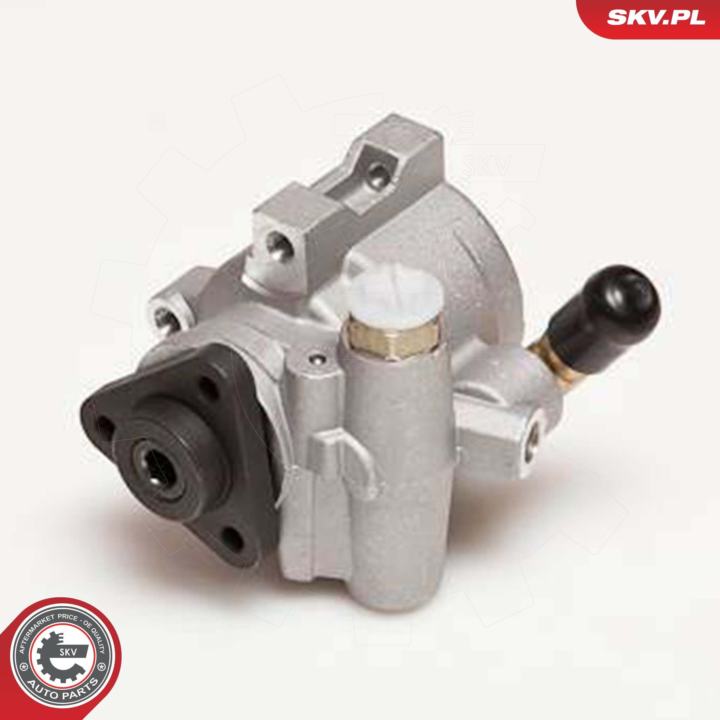 ESEN SKV Hydraulikpumpe, styresystem 10skv055 for FORD