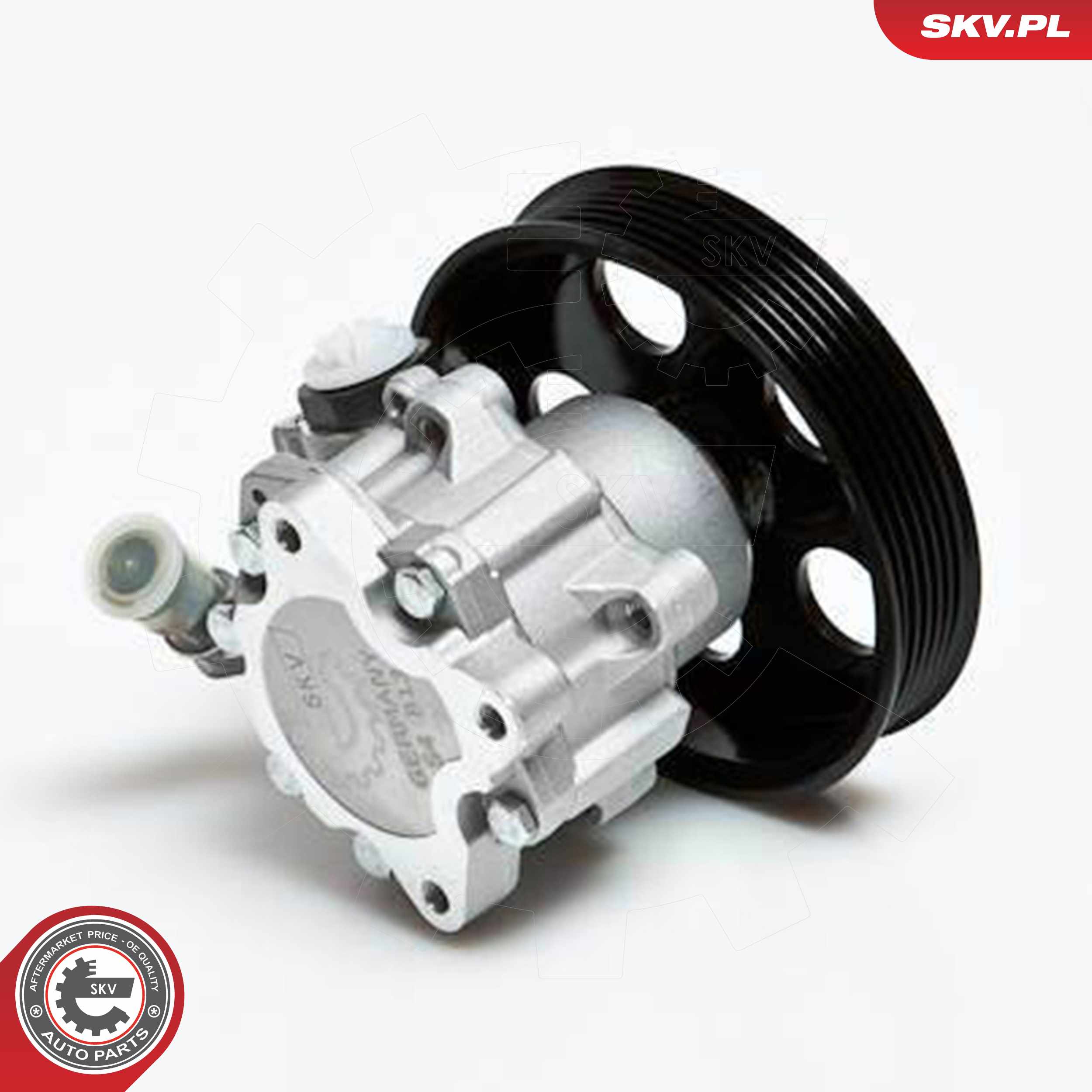 ESEN SKV Hydraulikpumpe, styresystem 10skv022 for AUDI