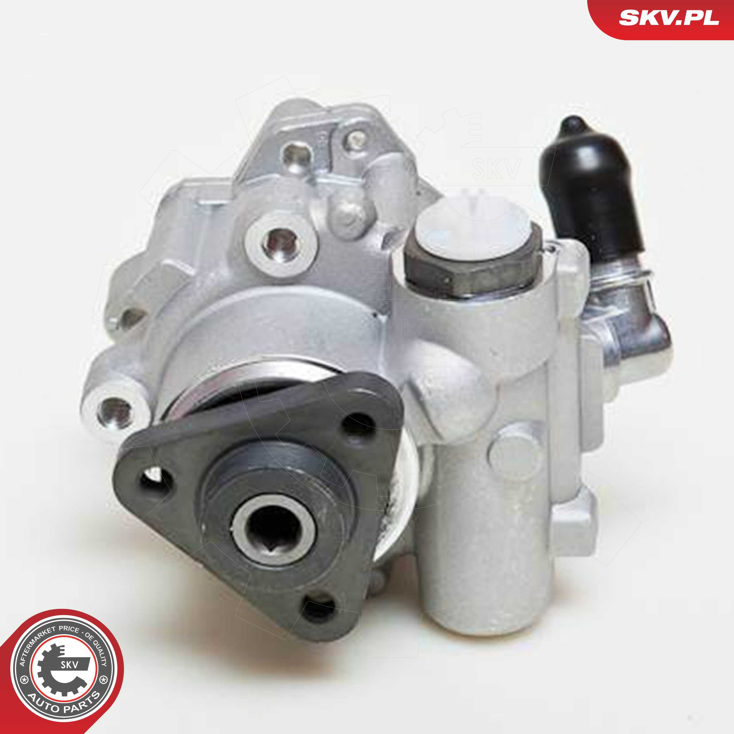 ESEN SKV Hydraulikpumpe, styresystem 10skv049 for BMW MINI