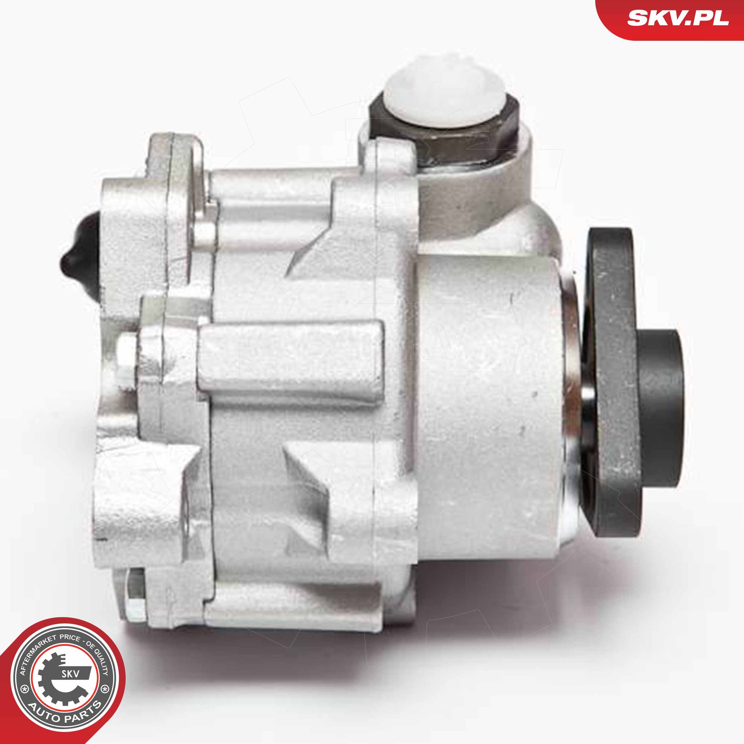 ESEN SKV Hydraulikpumpe, styresystem 10skv072 for BMW