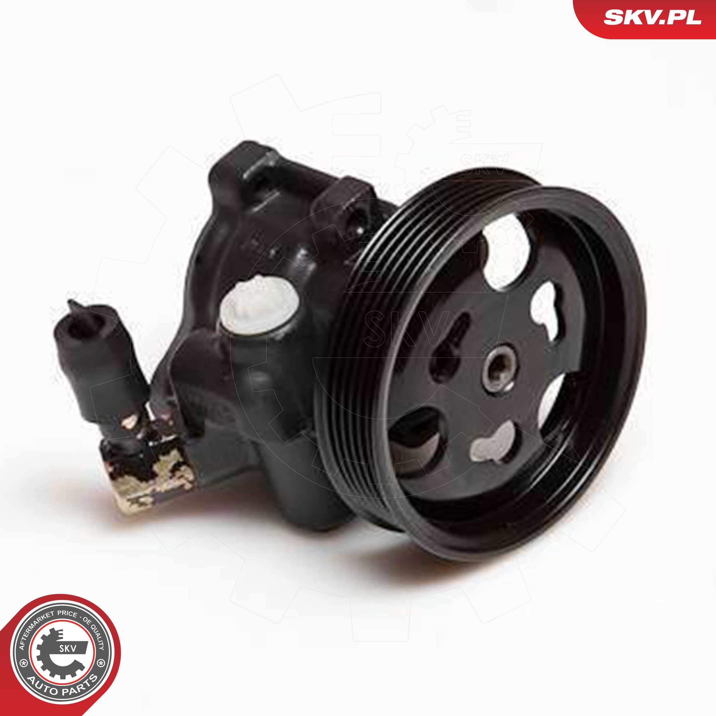 ESEN SKV Hydraulikpumpe, styresystem 10skv097 for FORD