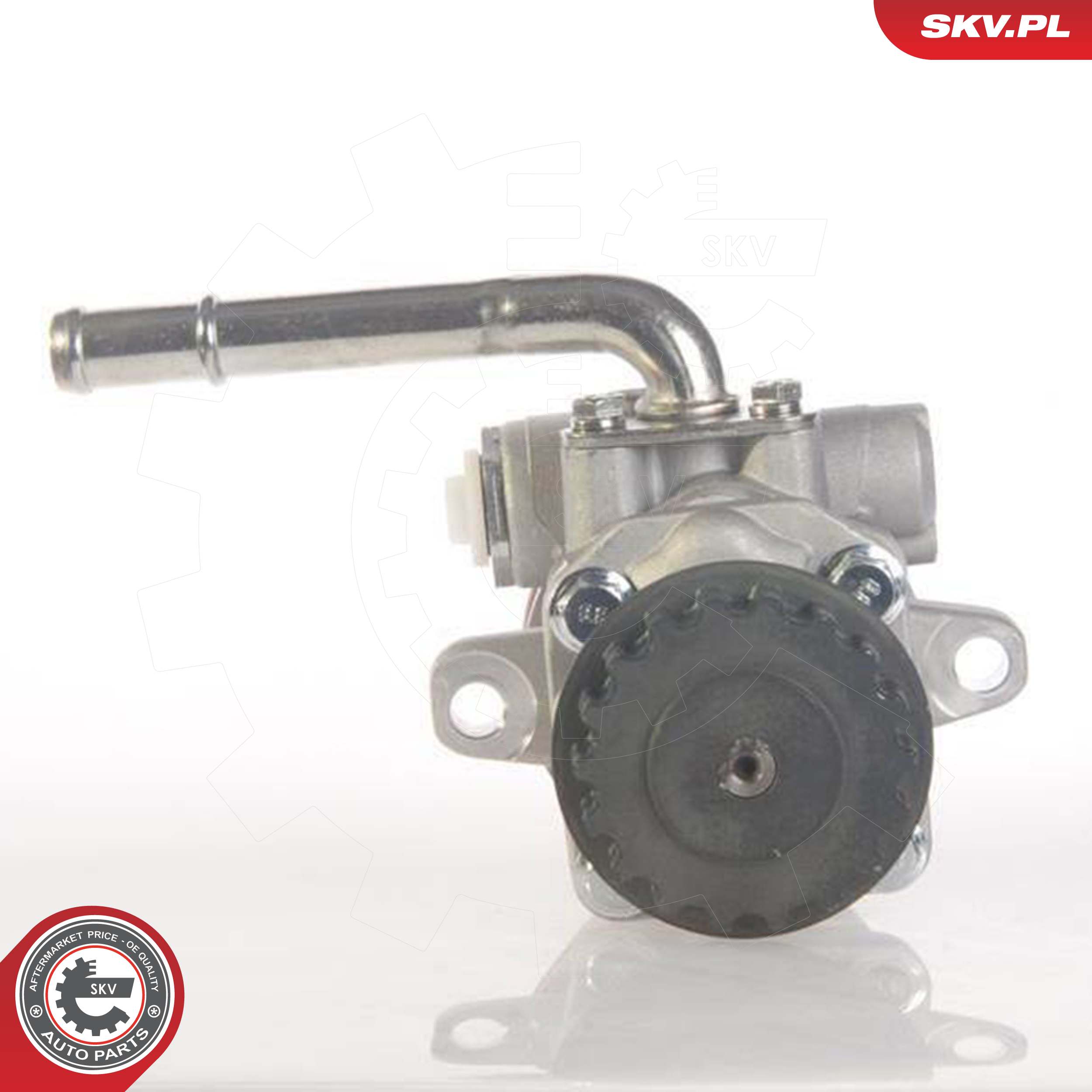 ESEN SKV Hydraulikpumpe, styresystem 10skv131 for VW