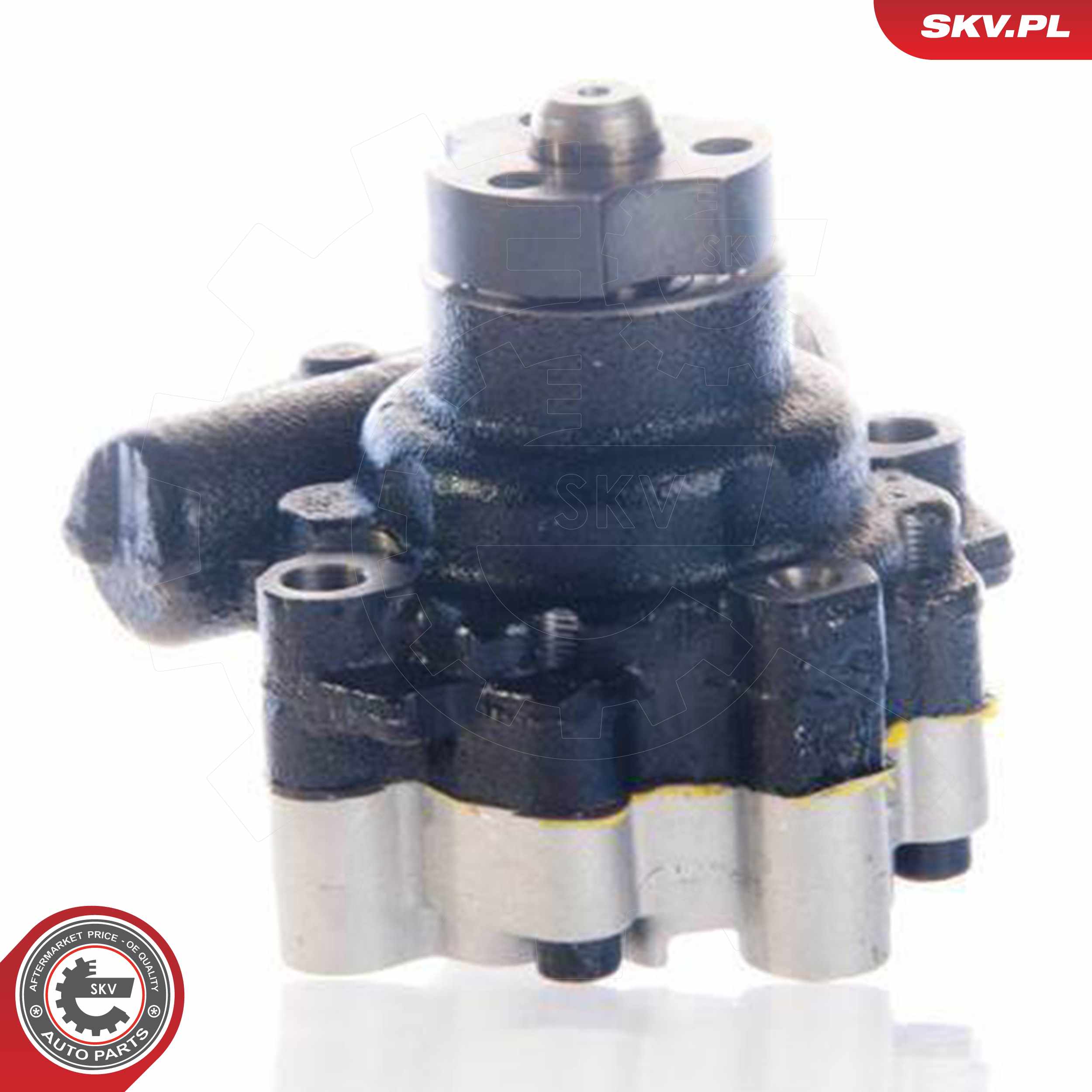 ESEN SKV Hydraulikpumpe, styresystem 10skv158 for FORD