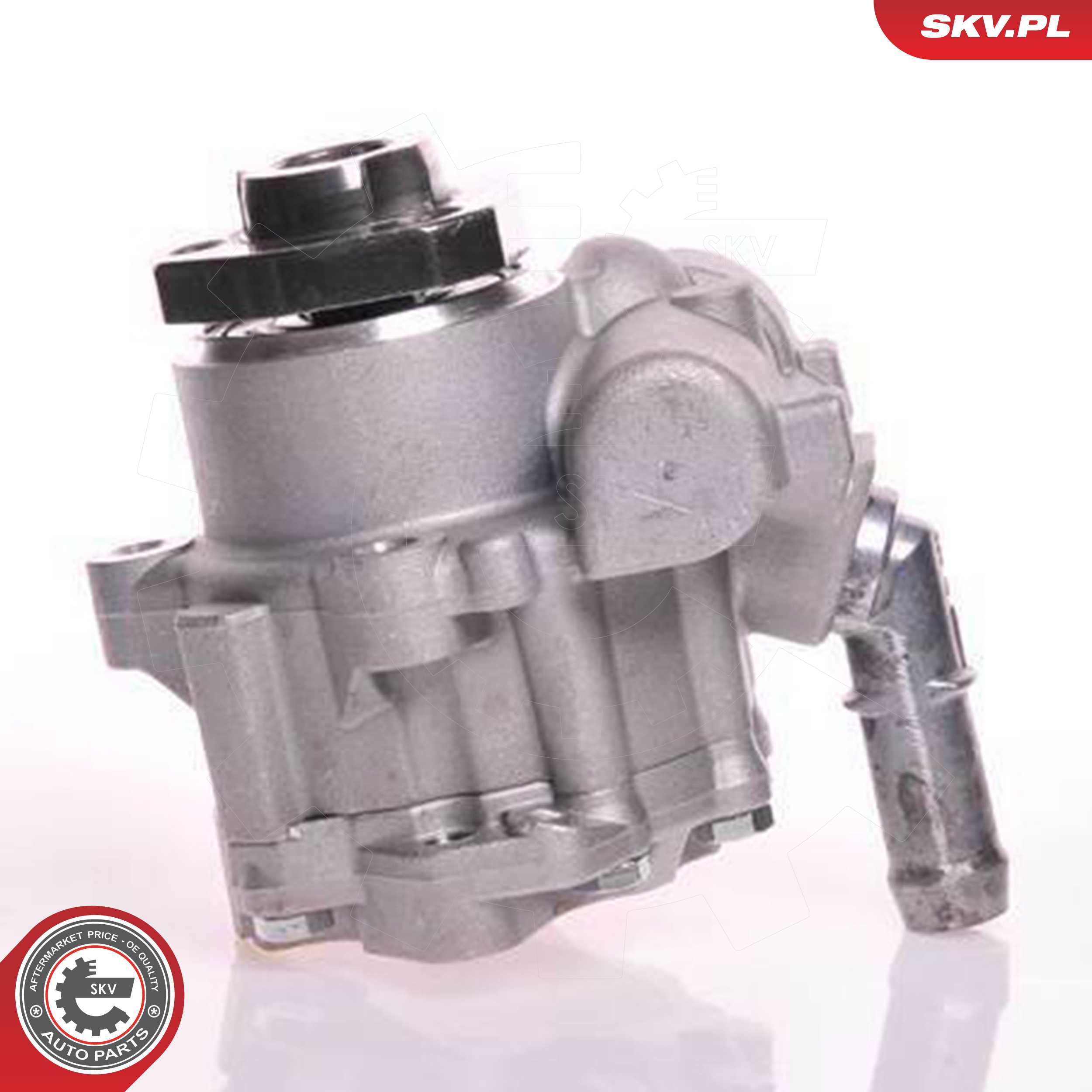 ESEN SKV Hydraulikpumpe, styresystem 10skv166 for VW SKODA