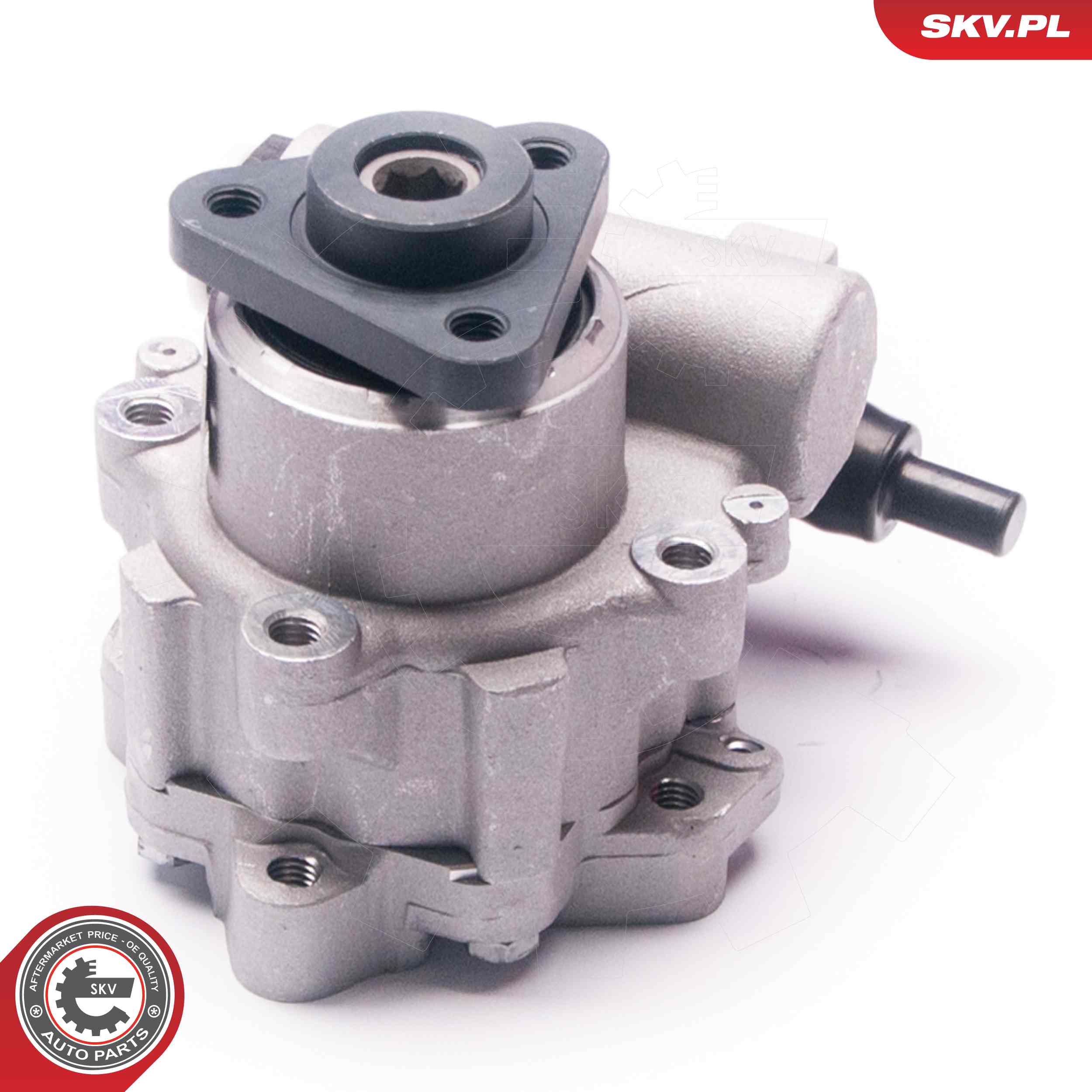 ESEN SKV Hydraulikpumpe, styresystem 10skv224 for AUDI