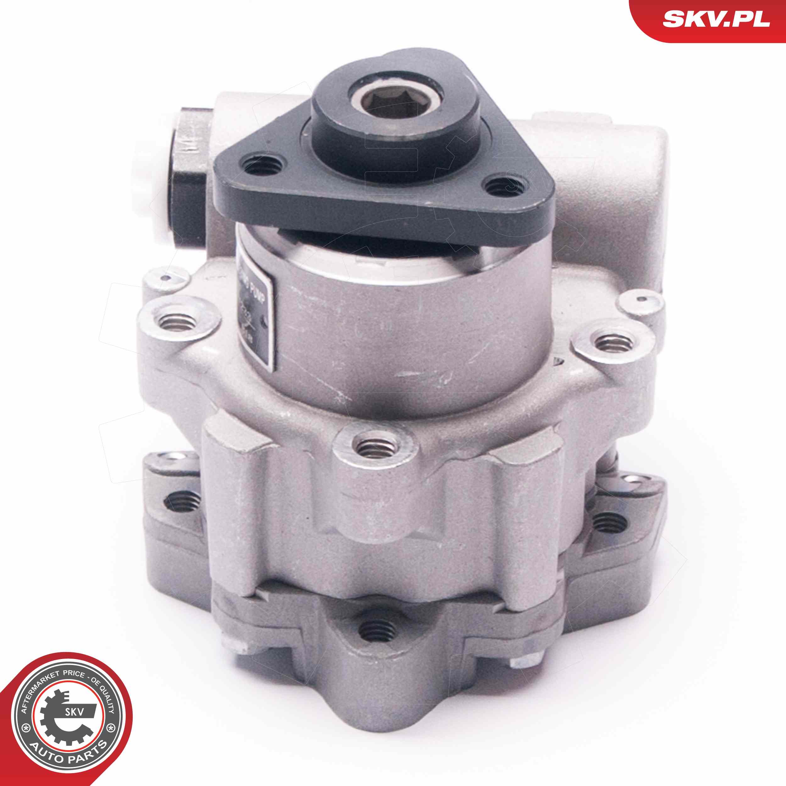 ESEN SKV Hydraulikpumpe, styresystem 10skv233 for VAG