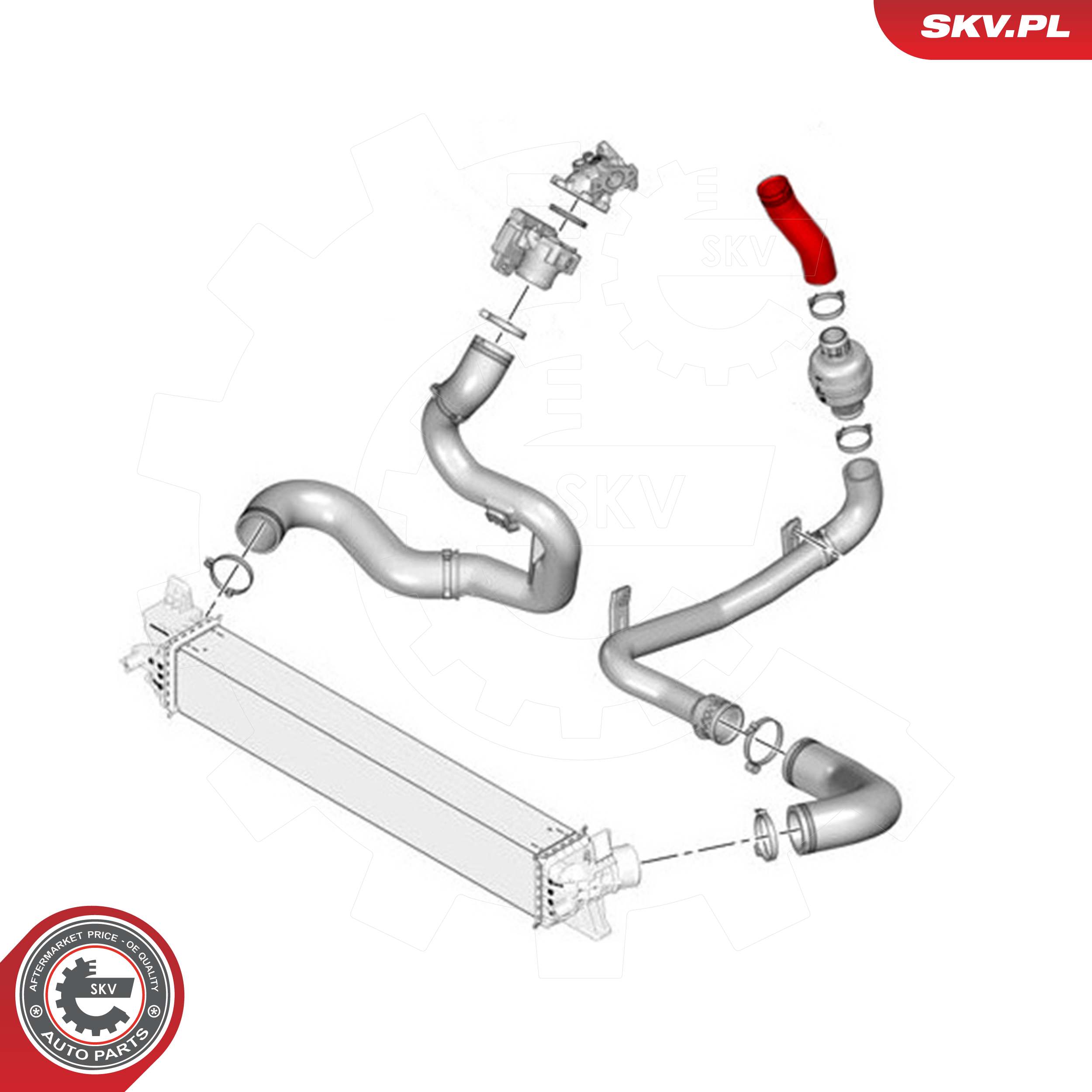 ESEN SKV Ladeluftslange 43skv278 for FIAT