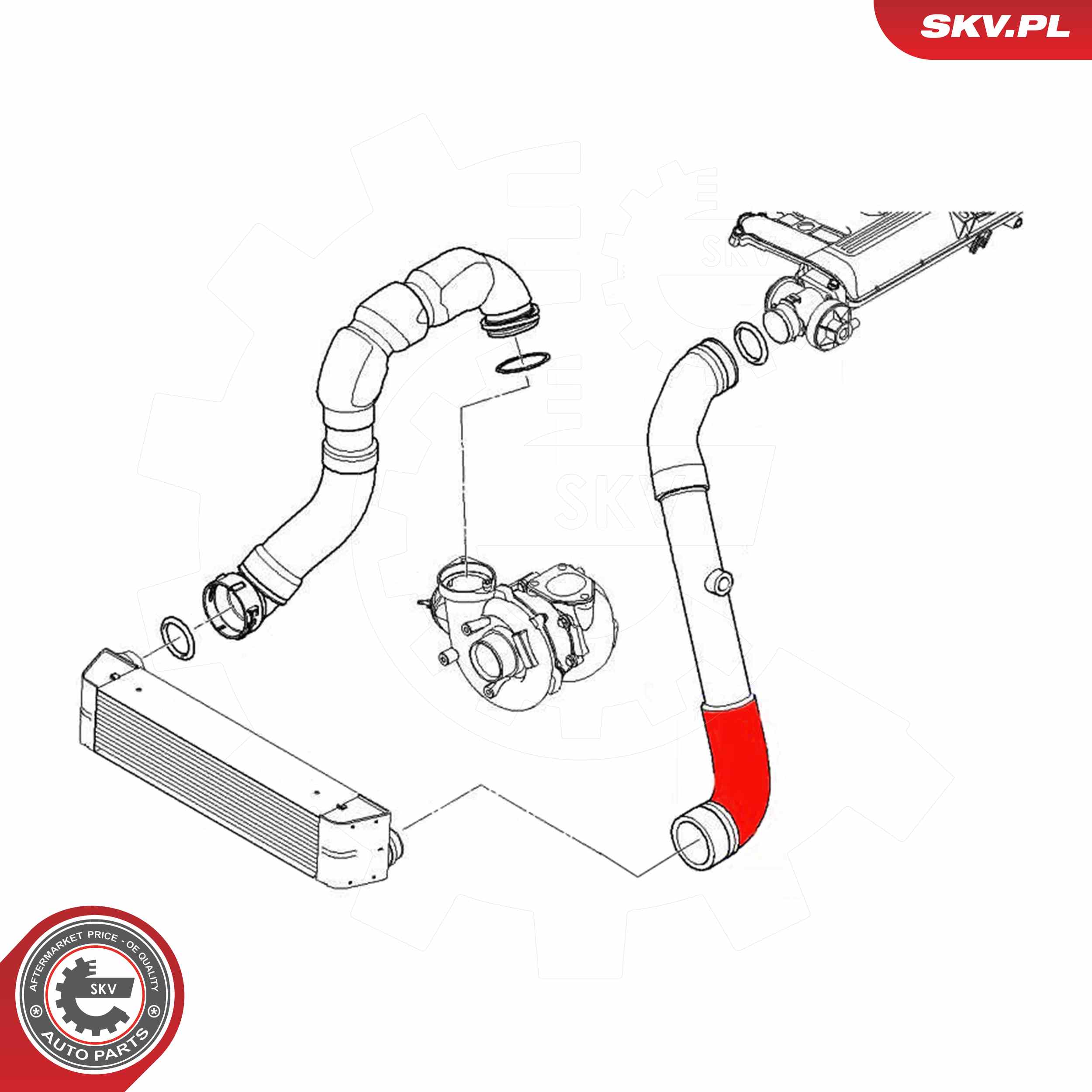 ESEN SKV Ladeluftslange 43skv439 for BMW