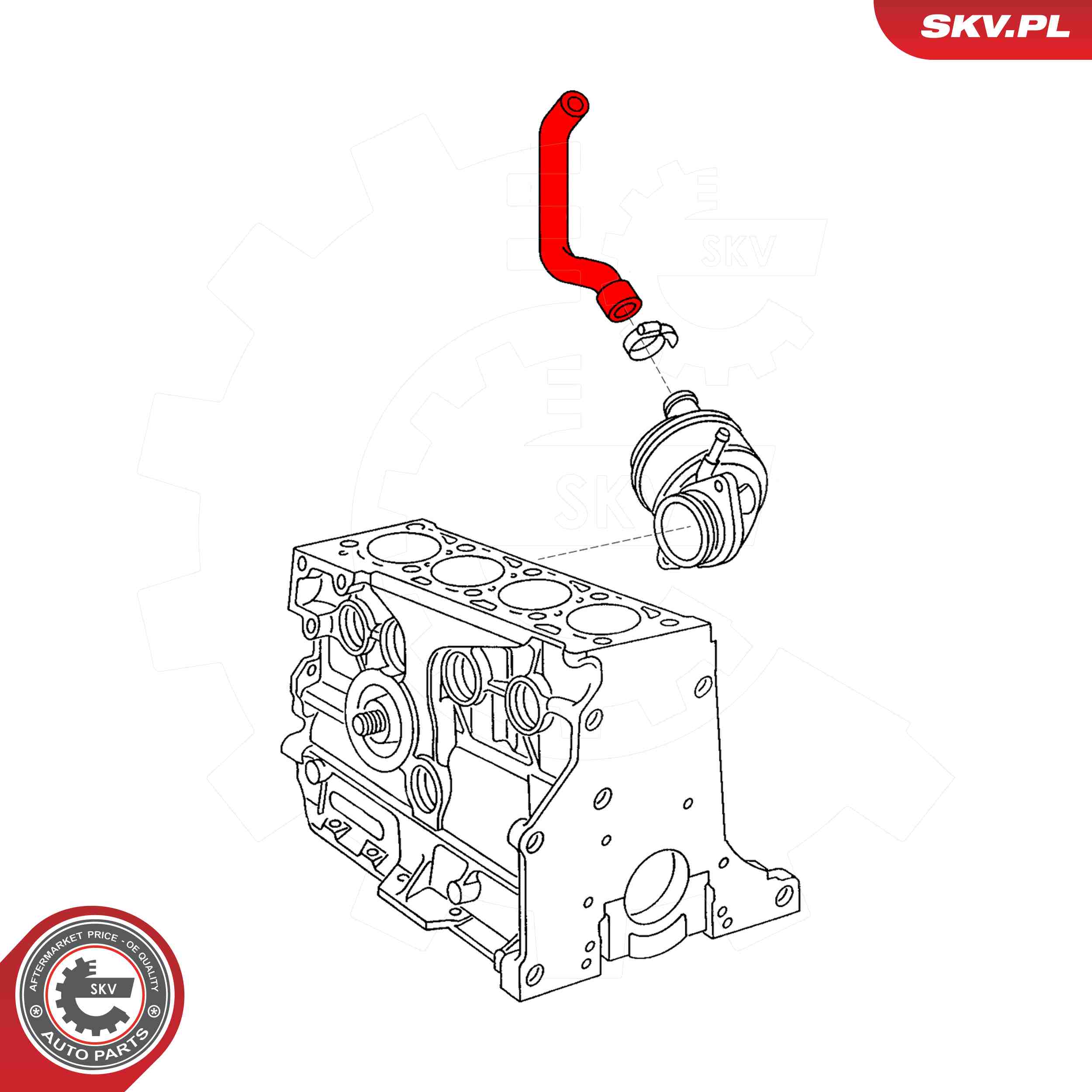 ESEN SKV Olieslange 31skv106 for VW